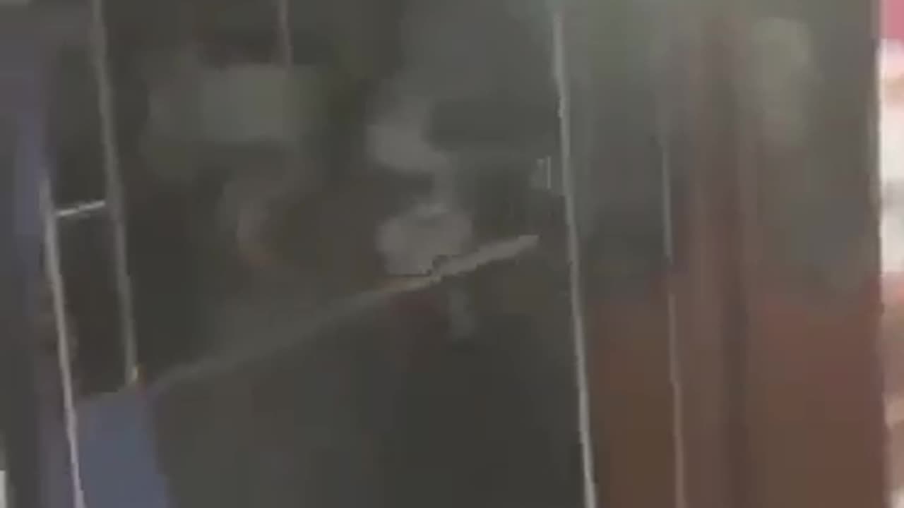 ΒΙΝΤΕΟ 1 Εθνικιστές τσακίζουν αναρχικούς στον ΗΣΑΠ