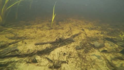 Underwater Adventure