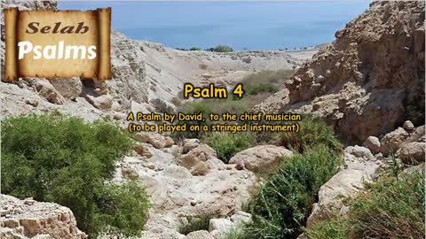 The Selah Psalms Project