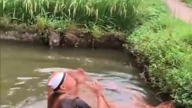 New Funny Video 2021 - Top People Doing Funny & Stupid Things