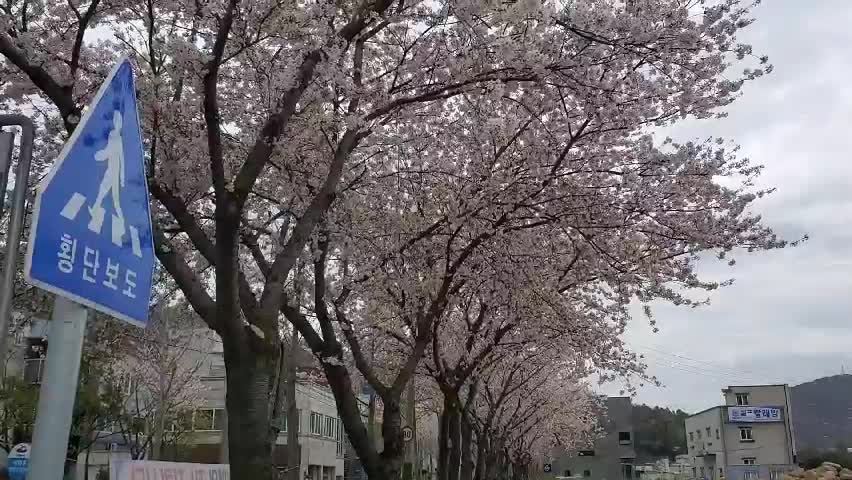 It's spring
