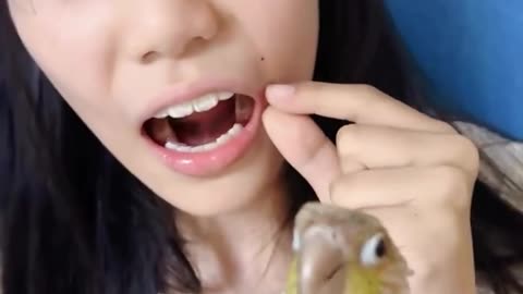 A dentist parrot