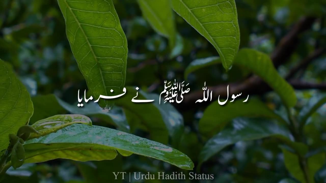 This is a hadith and our aim is to reform people