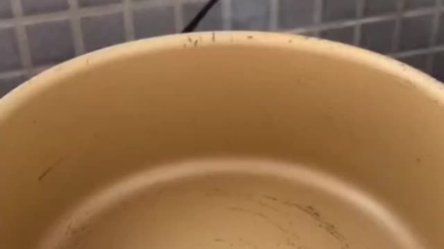 How to make movie popcorn