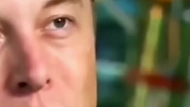 never give up elon musk best whatsapp status