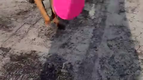 Dog training video