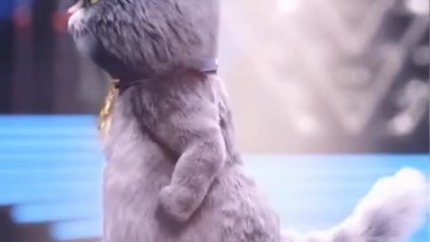 Satisfying cartoon cat video