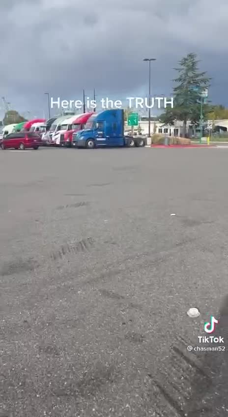 Washington- More than 500.000 containers seized & checked at the ports