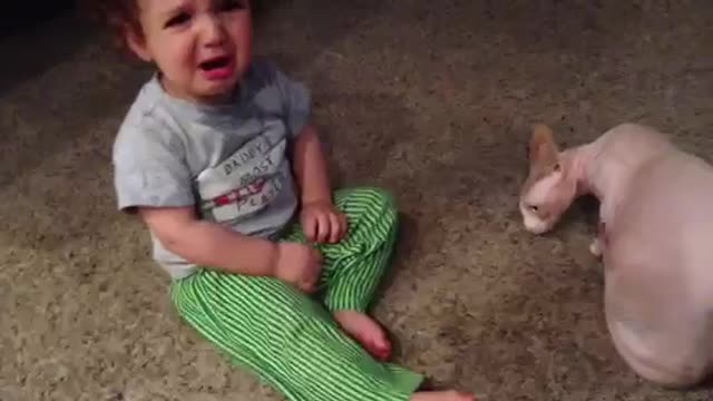 Dogs video ...dogs .. view