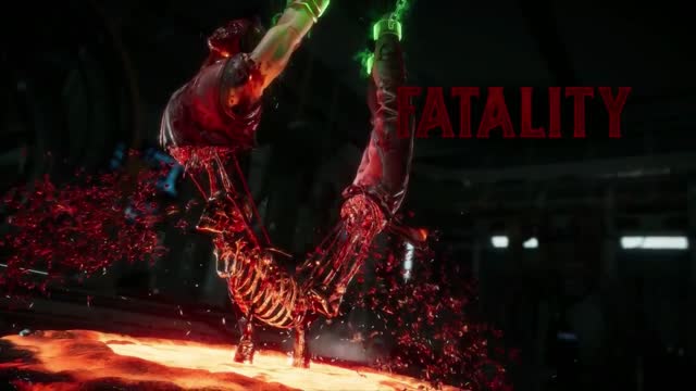 fatality 2022 mk11(mortal kombat)