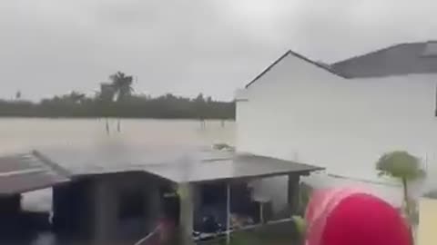 MAN, HUGGING COCONUT TREE TO NOT BE SWEEPED AWAY BY RUSHING FLOOD