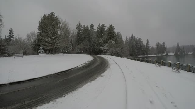 4K Snowing Stanley Park 2021-02-13 2