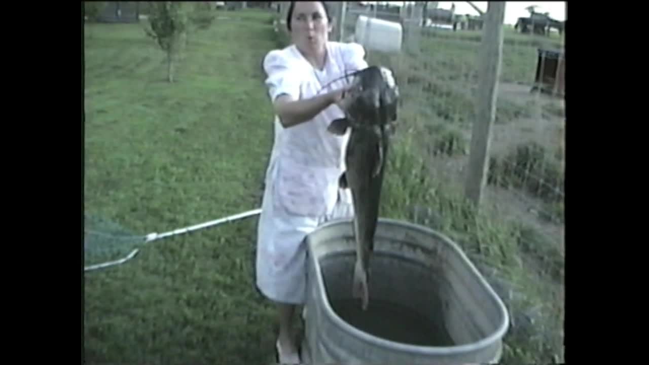 Catfish is Big!