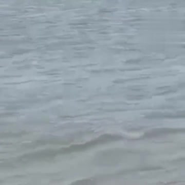 Pareja teniendo sexo en playa