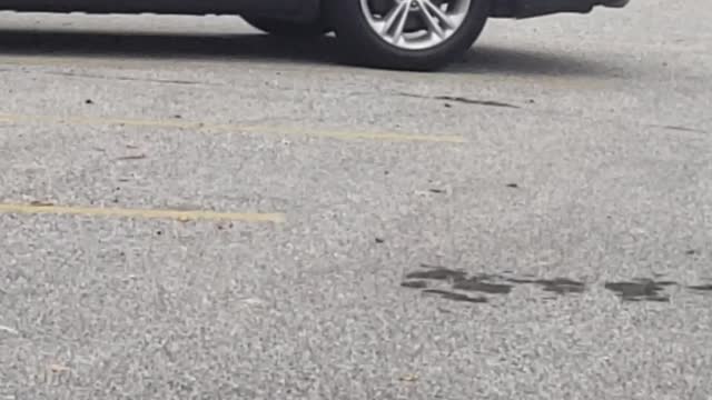 Teacher Rants While Tending to Her Truck