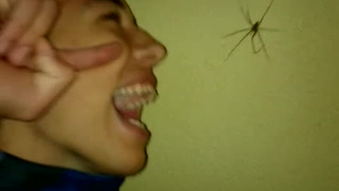 Guy opening his mouth next to spider and screams