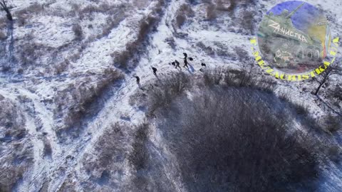 A Group of Ukrainians Surrendered Near Avdeevka