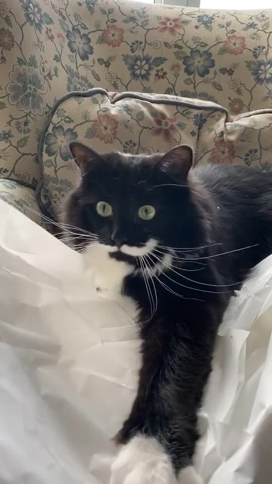 Late Friday and they dump more work on your desk to finish