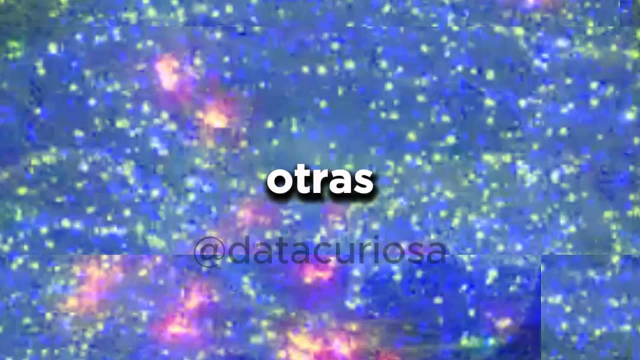 ¿Cuántas neuronas tiene el cerebro? 😶🧠