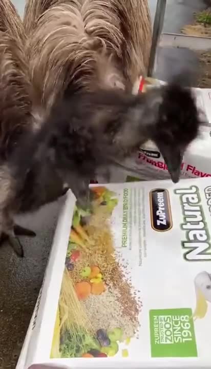 Delicious food 😂😂😂😂😂😂😂