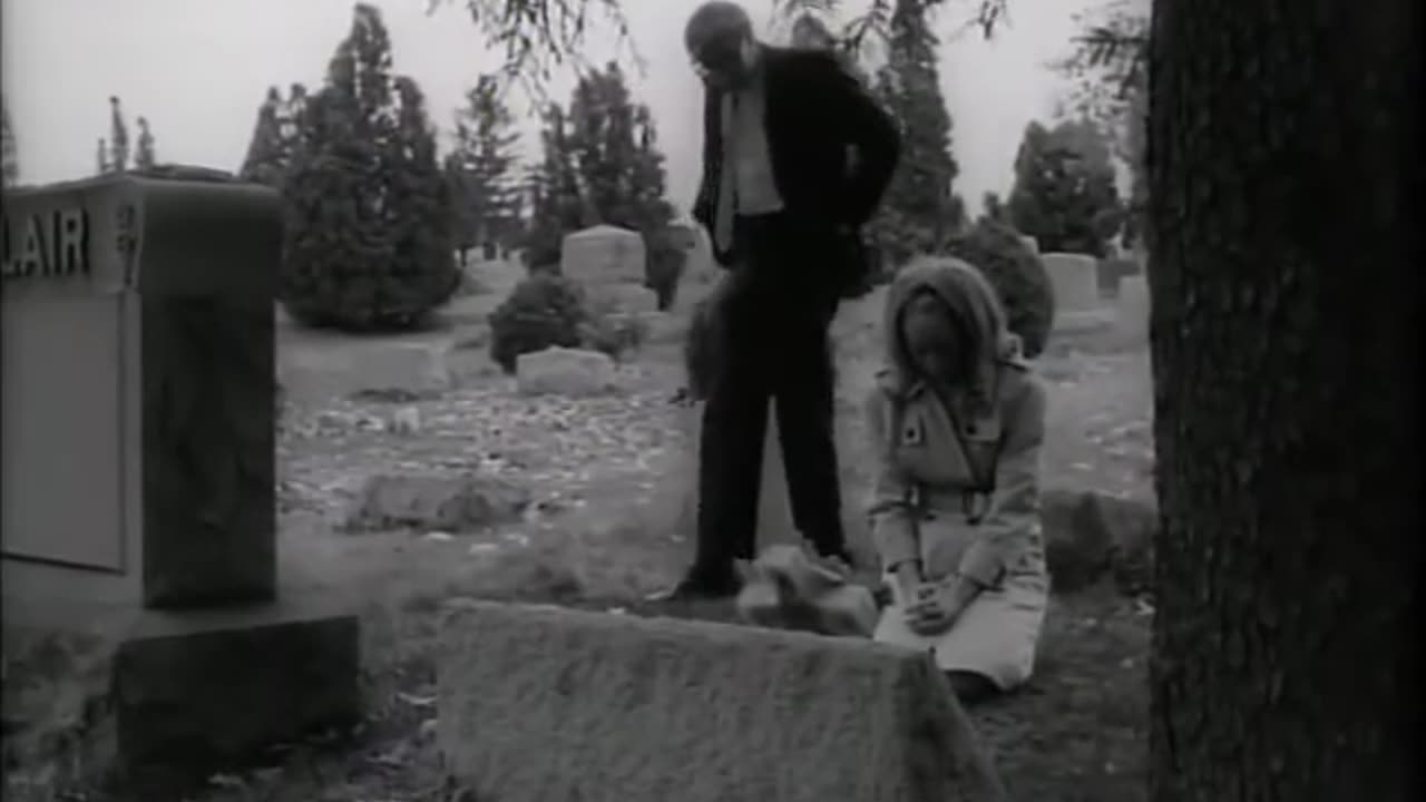 Night of the Living Dead Extended Version-30th Anniversary Cut.ia