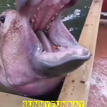 Are you hunting me😳