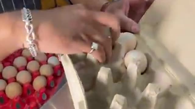 4 egg price 50$ begest price of the egg..😱😱