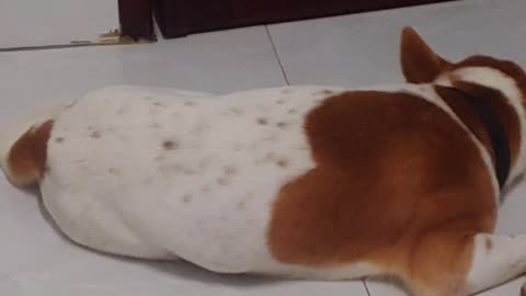 So cute and so so