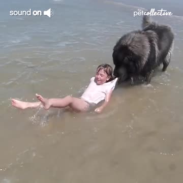 See how this dog is saving the baby from the water wave