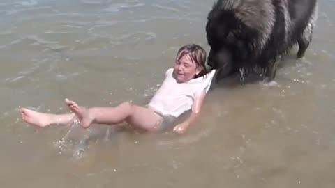 See how this dog is saving the baby from the water wave