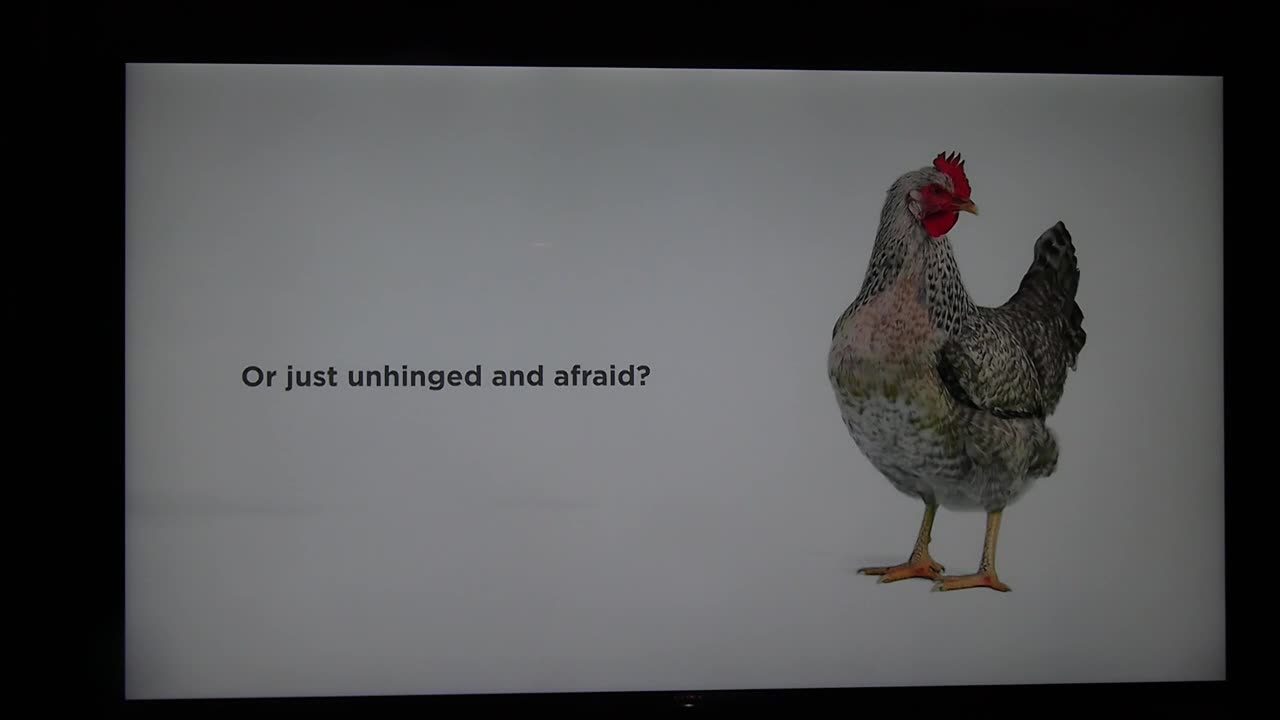 CHICKEN SHIT POLITICAL AD