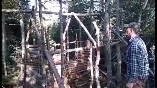 Working on The Bushcraft Shelter Day 5-6..& A Shoutout