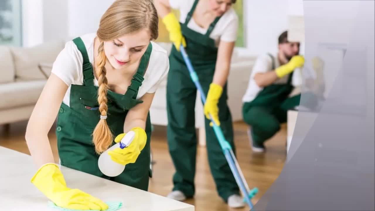 Solis Professional Cleaning Service - (314) 451-7080