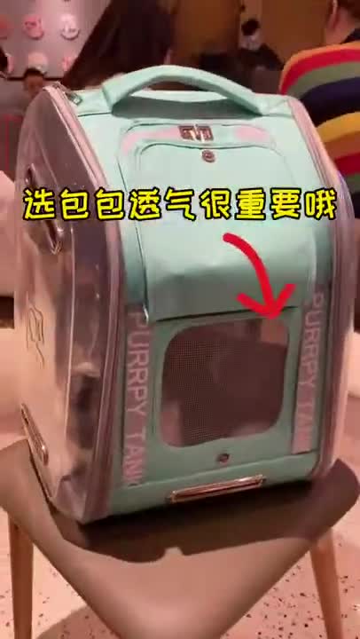 LIVE PUPPY CAM! Adorable Lab Puppies in their Play Room livestream Week 7!