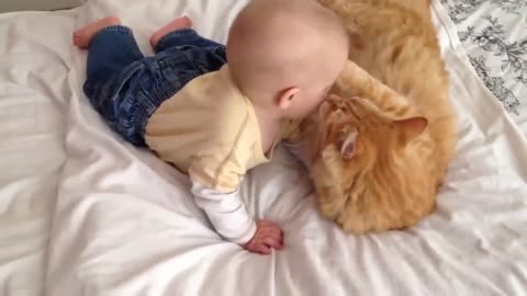 Cats Meeting Babies for the FIRST Time BEST COMPILATION/ TRY NOT TO LAUGH