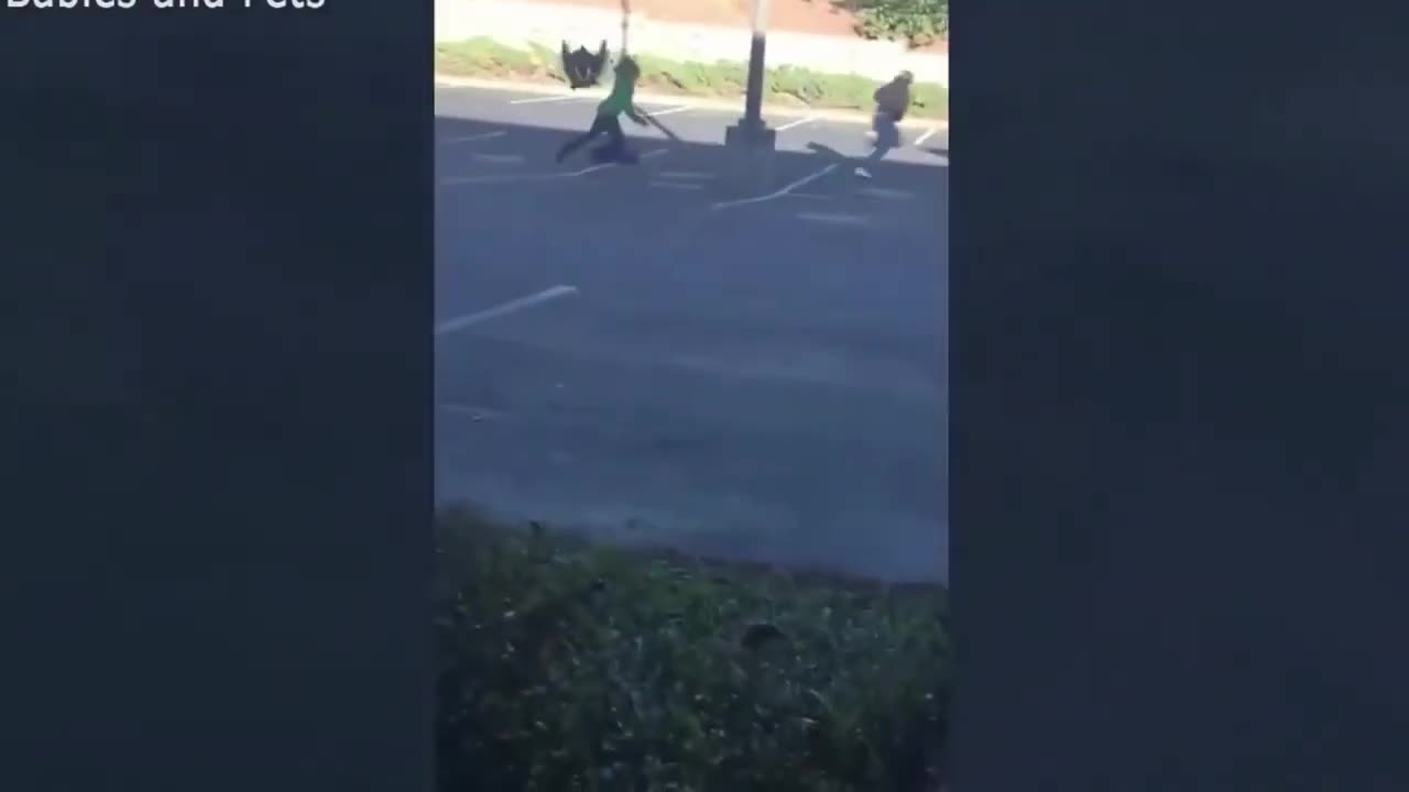 The FUNNIEST and Most Hilarious ANIMAL Compilation Videos