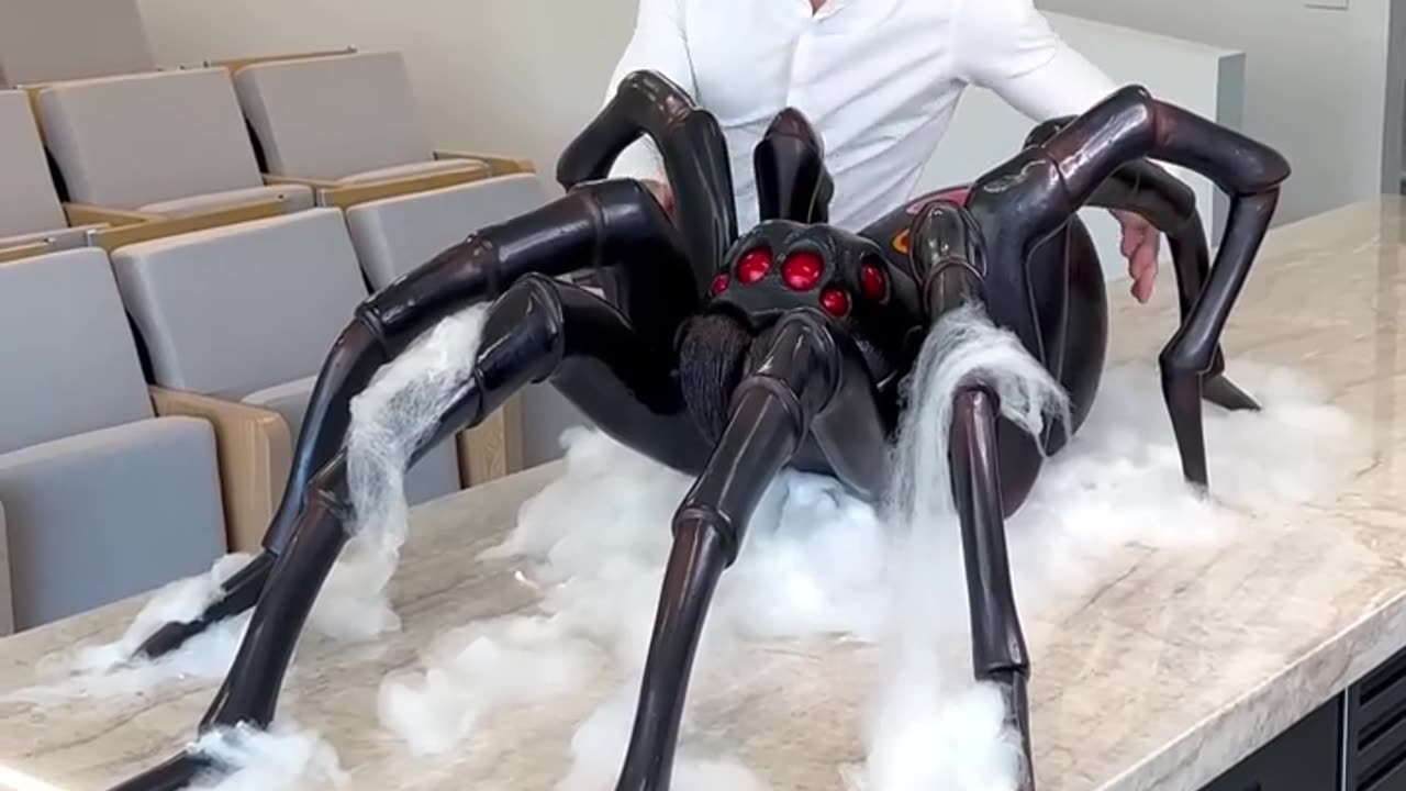 CHOCOLATE SPIDER 🕷️