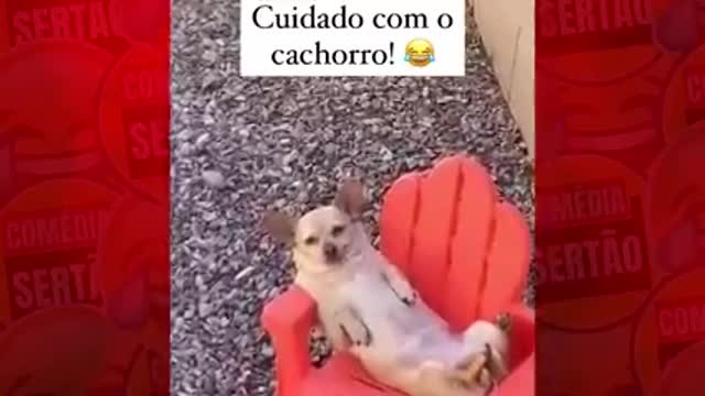 Tente não rir