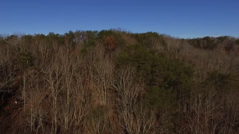 Christmas 2020 - Cherry Log, Georgia