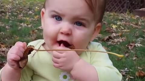 Baby Exploring The Nature In A funny Way