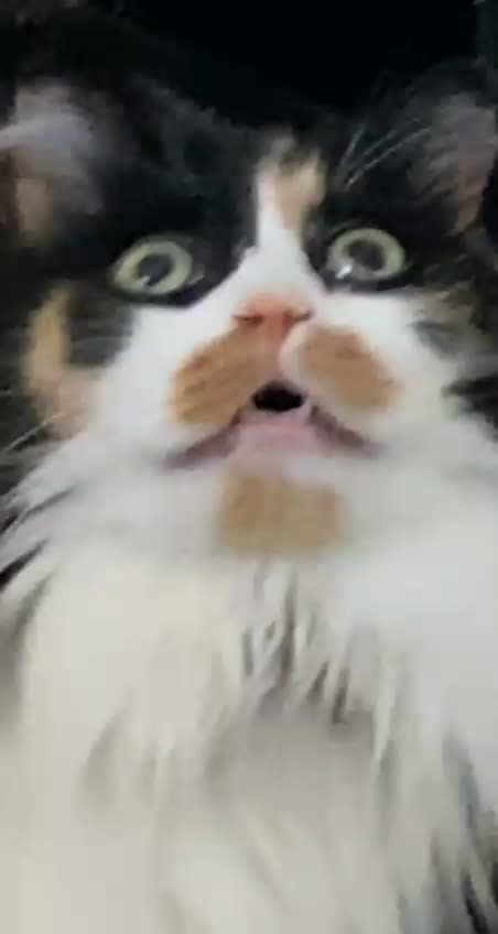 This is me looking at what is happening in the world right now