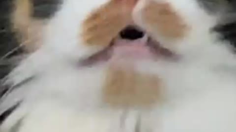 This is me looking at what is happening in the world right now