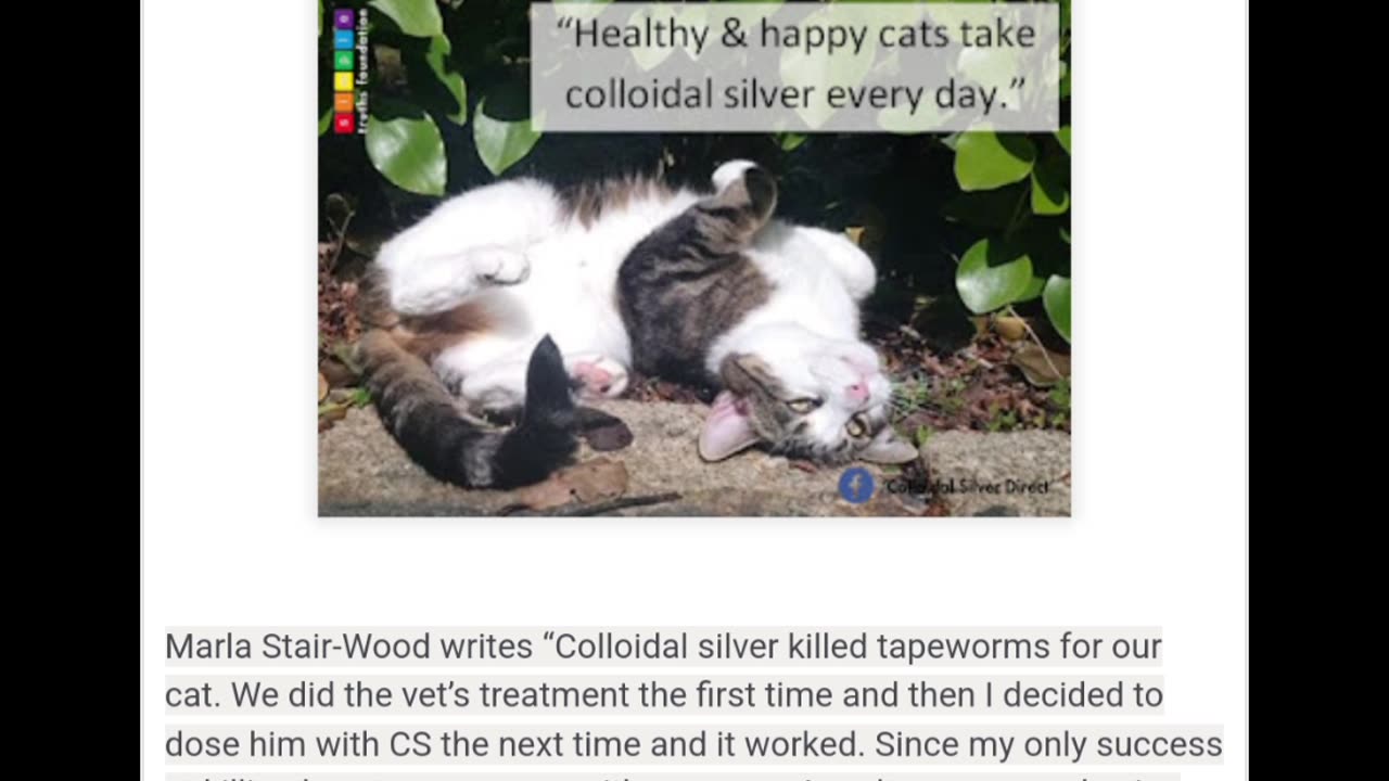 Colloidal silver for cats