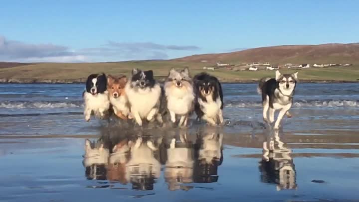 Line up on St Ninians Isle beach