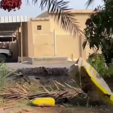 funny all funny videos for you like fail guys