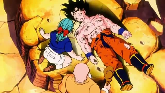 Chichi doesn't care about Goku but Boluma does!