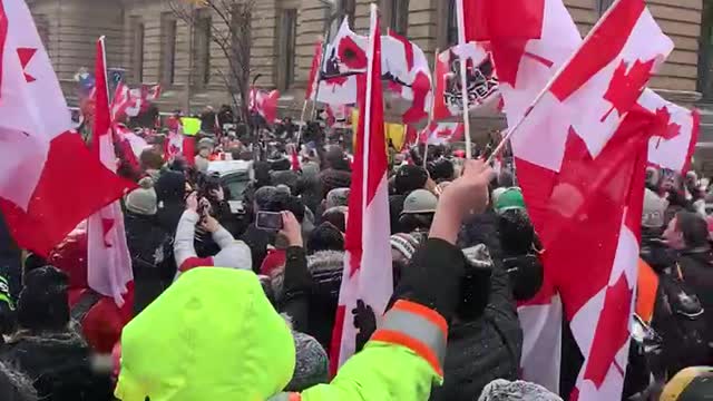 Canadian Trucker Freedom Convoy Feb 12, 10am