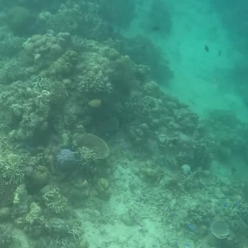 It’s Snorkeling Time!