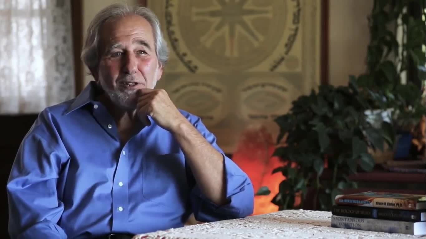 HEAL - Bruce Lipton