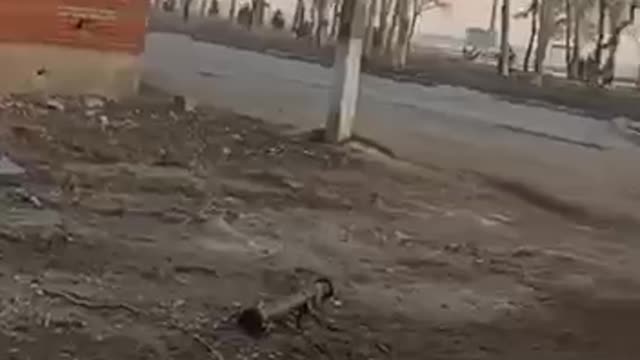 Batlle for Mariupol